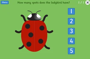 Maths Games - Counting Games - Ladybird Spots